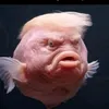 axaxqxxaxq0
