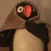 bisnaguinhakk