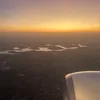 daisy_4422