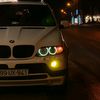 White_Bull