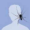 spiders_lily