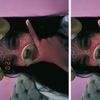 anndaslsabila_440