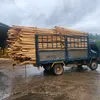 duongminhthanh96