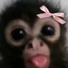 livi_lou.who