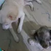 maki_and_obe