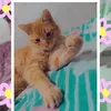 _slime_pedidos_1234_