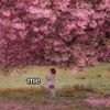 elpinaple.id