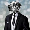 bogado0007