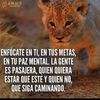 enriqueontipe1