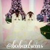 bobaxtwins