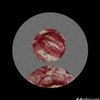 glitch_495