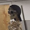 xeno_d_goat