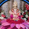 ashokkanthsuba