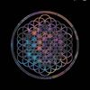 the.orphan742617000027