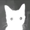 sntlrntq