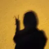 nlfinrs