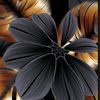 ..noor.._.user113774825