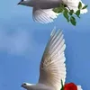 hhmm77888