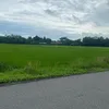 anhngoctran44