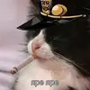 hotto_doggo
