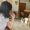 aivytran_vv