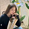 .adyo_