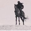 elnur.888