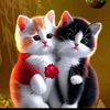 ferit_47_34