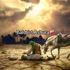 sadat33697