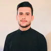 al_sb313