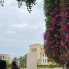 alhassna0