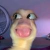 chasyaaaiiii