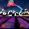 loveeritrean