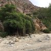 alharthi501jj