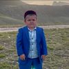 hasbulladio