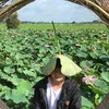 nguyennormal