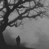 hawaj_7m