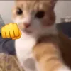 kazumaneo