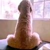 babybrid09