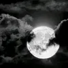 mosa_3_4