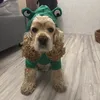 vikylikf