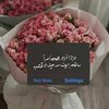 reemaa_30