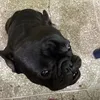 ros.___278