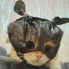 vy_anzpanda