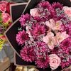 malak.al11