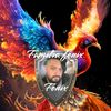familiafenix504