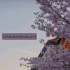 habibatmama24