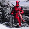 don.pool