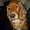 hector.tuga999