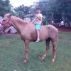nilson30duarte88
